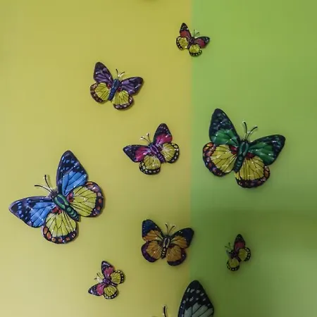 Nocleg ze śniadaniem Il Giardino Dei Sogni Santa Domenica Talao