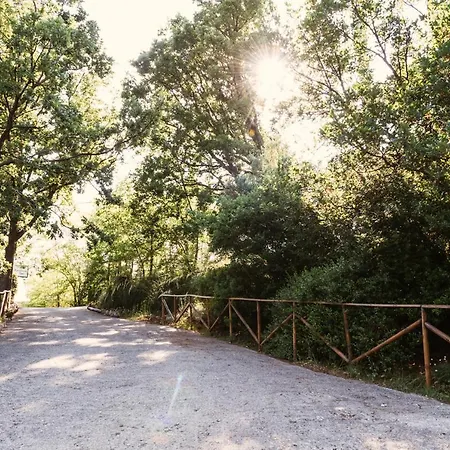 Il Giardino Dei Sogni