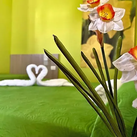 Il Giardino Dei Sogni 3* Santa Domenica Talao