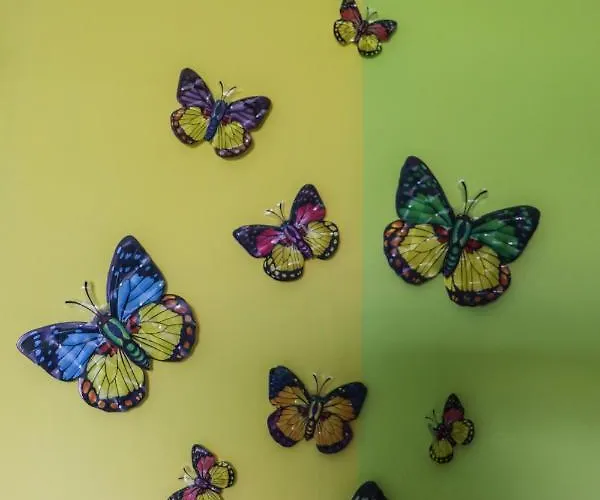 Alojamento de Acomodação e Pequeno-almoço Il Giardino Dei Sogni Santa Domenica Talao