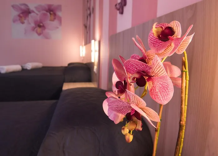 Alojamento de Acomodação e Pequeno-almoço Il Giardino Dei Sogni